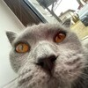 Логотип телеграм канала @promo2342 — Программы / Читы на игры.