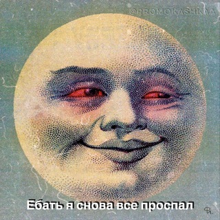 Логотип телеграм канала @promokashkaa — Промокашка