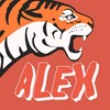 Логотип телеграм канала @promyslovikalexs — Промысловик AleX
