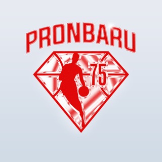 Логотип телеграм канала @pronbaru — ProNBAru