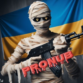 Logo of telegram channel pronub_info — 💎ProNub iNFO💎