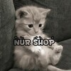 Telgraf kanalının logosu proof_nur — 𝐧𝐮𝐫 𝐬𝐡𝐨𝐩