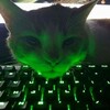 Logo of telegram channel proofssoniksa — 💚proofs of soniks💚