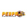 Logo of telegram channel proplaygame — PEDPRO ONLINE