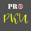 Логотип телеграм канала @prorki — Поговорим про РКИ (русский язык как иностранный)