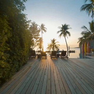 Логотип телеграм канала @prosamui — Prosamui