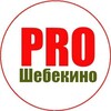 Логотип телеграм канала @proshebekino — PRO Шебекино