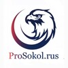 Telegram channel ProSokol777 оптовый Магазин logo