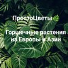 Логотип телеграм канала @prostocvety777 — ПростоЦветы🌿