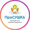 Логотип телеграм канала @prosushka_oren — ПроСУШКА ОРЕНБУРГ