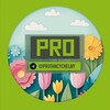 Логотип телеграм канала @protancychelny — PROТАНЦЫ ЧЕЛНЫ