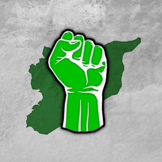 Логотип телеграм канала @protest_syria — Protest | Сирия