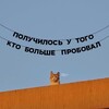 Логотип телеграм канала @protopopovxyz — protopopoff