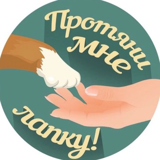 Логотип телеграм канала @protyanimnelapky — Протяни мне лапку