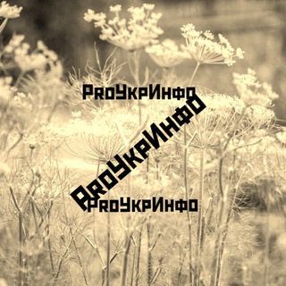 Логотип телеграм канала @proukr2023 — 📻ProУкрИнфо