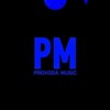Логотип телеграм канала @provoda_music1 — provoda_music