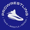 Логотип телеграм канала @prowrest1ing — prowrestling