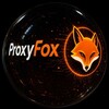 Логотип телеграм канала @proxyf0x — ProxyMTProto | Fox