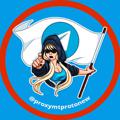 Logo saluran telegram proxymtprotonew — Mtproto Proxies 🔐