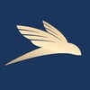 Logo of telegram channel proyachting — PROyachting