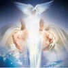 Логотип телеграм канала @proyavitel11 — ПРО.ЯВИТ.ЕЛЬ🕊🌿 PRO.YAVIT.EL🕊🌿💎