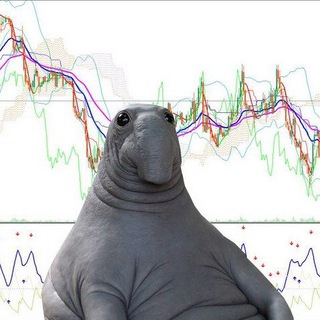 Логотип телеграм канала @proz_trading — Прозрачный трейдинг