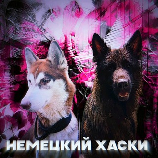 Логотип телеграм канала @prprorokk — ⲏⲉⲙⲉцⲕυύ ⲭⲁⲥⲕυ 🐺
