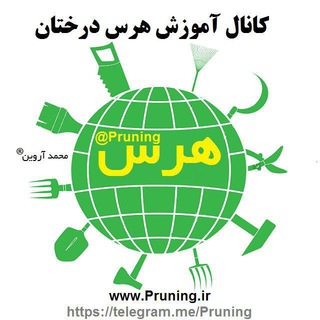 لوگوی کانال تلگرام pruning — Pruning آموزش هرس درختان