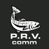 Логотип телеграм канала @prv_prod — P.R.V.соmm