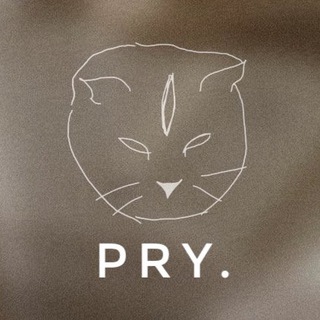 Логотип телеграм канала @pry_world — PRY.