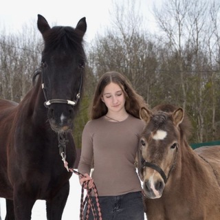 Логотип телеграм канала @pryanichn_stories — 🐴Пряничные истории💗