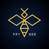 Логотип телеграм канала @prybee — PRY BEE