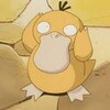 Логотип телеграм канала @psayydak — PSYDUCK