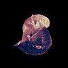Логотип телеграм канала @psftime — Фотографический Dead