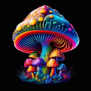 Logo of telegram channel psilocybe_mushroom_store — PSILOCYBIN STORE