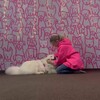 Логотип телеграм канала @psinaterapevt — Псинатерапевт