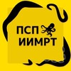 Логотип телеграм канала @pspimrt — ПСП ИИМРТ 2024