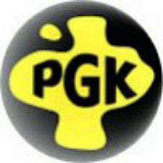 टेलीग्राम चैनल का लोगो pssgamerking — Pss Gamer King