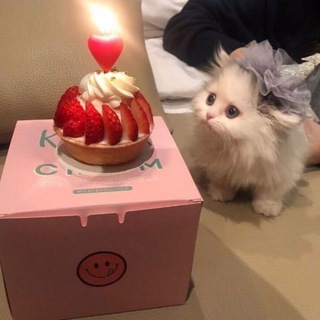 Логотип телеграм канала @psst_memes — Pssst... I've got some memes 4 u