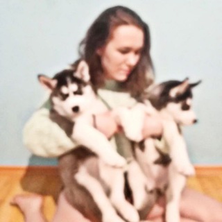 Логотип телеграм канала @psy_darya — Психолог Дарья