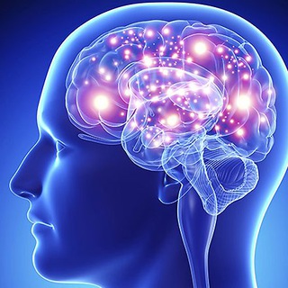 Логотип телеграм канала @psy_lg — Психология для тебя 🧠