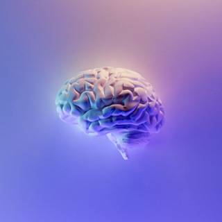 Логотип телеграм -каналу psy_neuroscience — Психология и наука 🧠