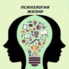 Логотип телеграм канала @psy_lifeee — Мозг и Капитал 🧠