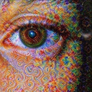 Logo of telegram channel psychedelic_dmt_shopping — PSYCHEDELIC TRIPPY COMMUNITY 🍄