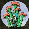 Logo of telegram channel psychedelic_magic_mushroom7 — PSY TRIPPY DISTRO🍄🌈