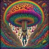 የቴሌግራም ቻናል አርማ psychedelichush — THC VAPE JUICE AND EXOTICS 😡😡