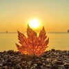 Логотип телеграм канала @psychita — Психологи Читы
