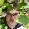 Логотип телеграм канала @psychologist4couples — Игры, в которые играют люди