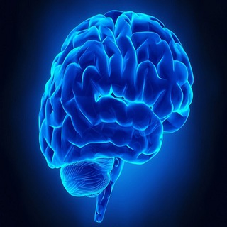 Logo of telegram channel psychology_videos_mind_tricks — 🧠 Psychology Videos Mind Tricks