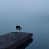 Логотип телеграм канала @psychomar — Синдром Икара🪽